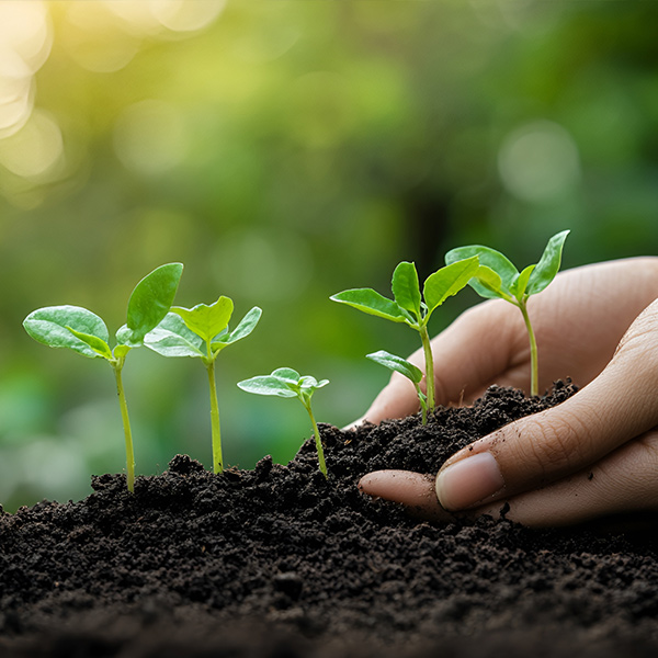 保唬唬唬；せ肪